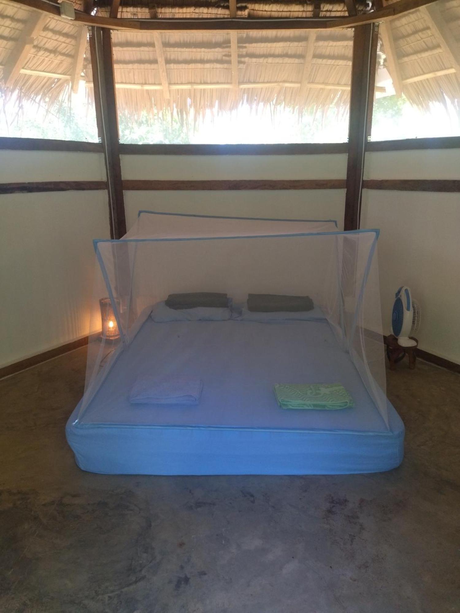 סיקיהור Little Nomads Eco-Guesthouse מראה חיצוני תמונה