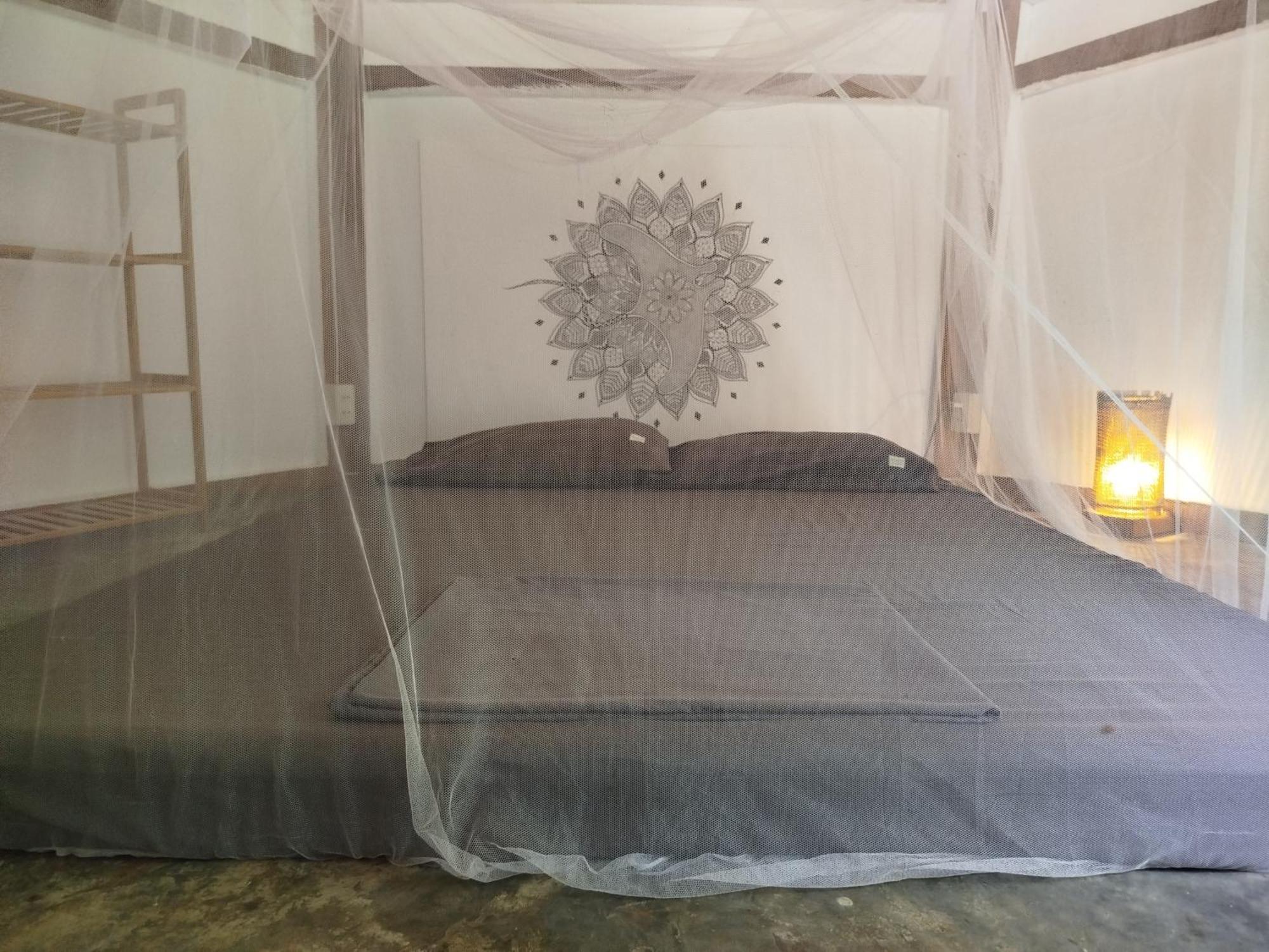סיקיהור Little Nomads Eco-Guesthouse מראה חיצוני תמונה