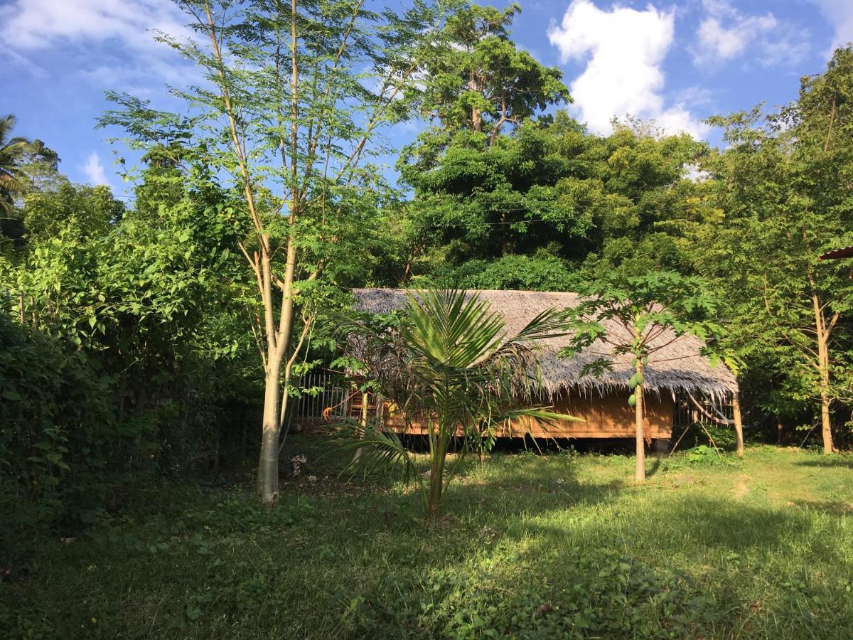 סיקיהור Little Nomads Eco-Guesthouse מראה חיצוני תמונה