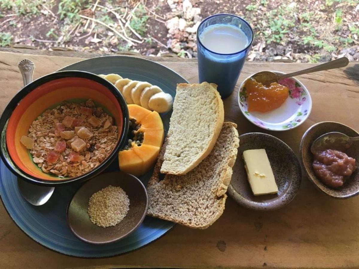 סיקיהור Little Nomads Eco-Guesthouse מראה חיצוני תמונה